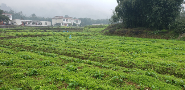 江安土壤修复 江安土壤修复