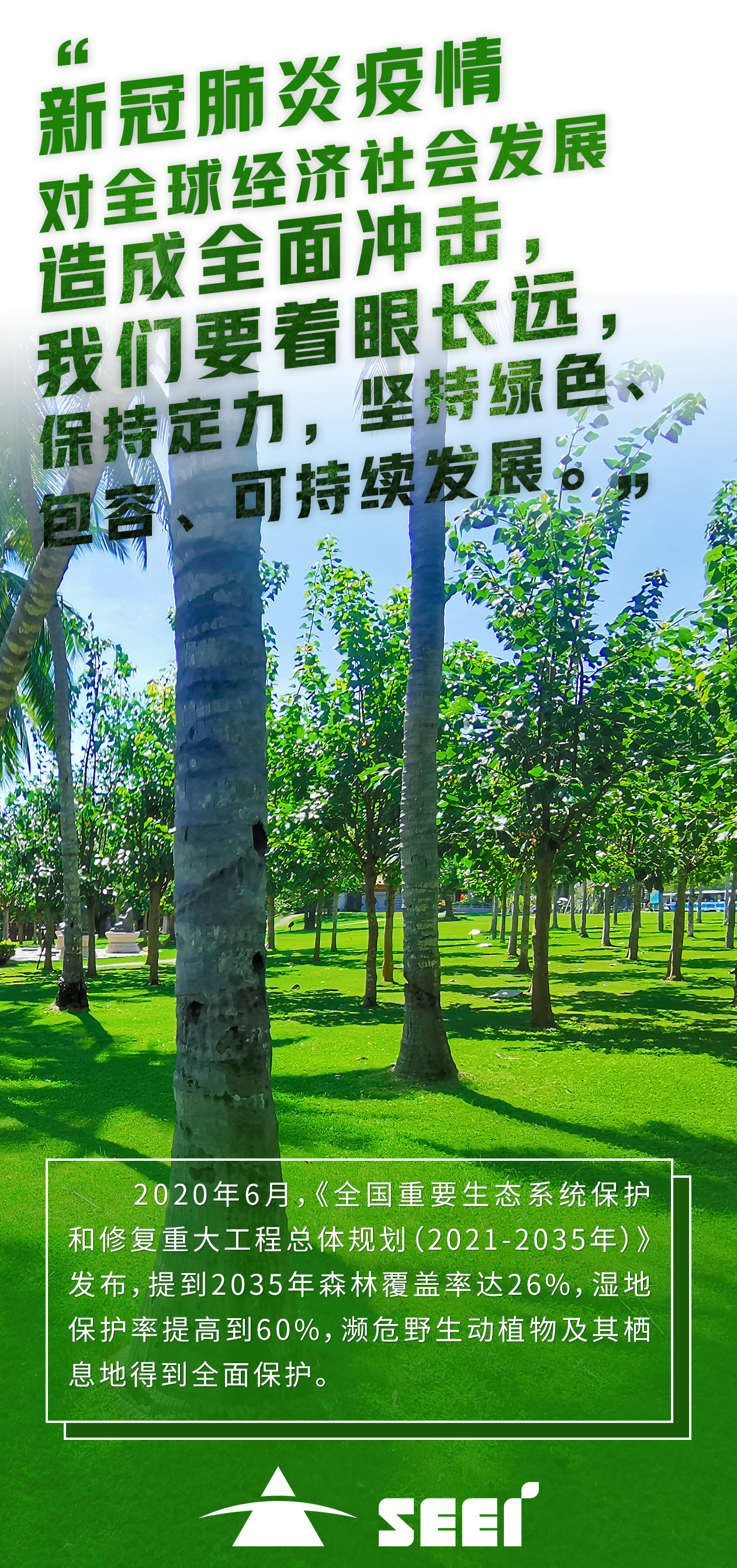 4清新环境-张莹