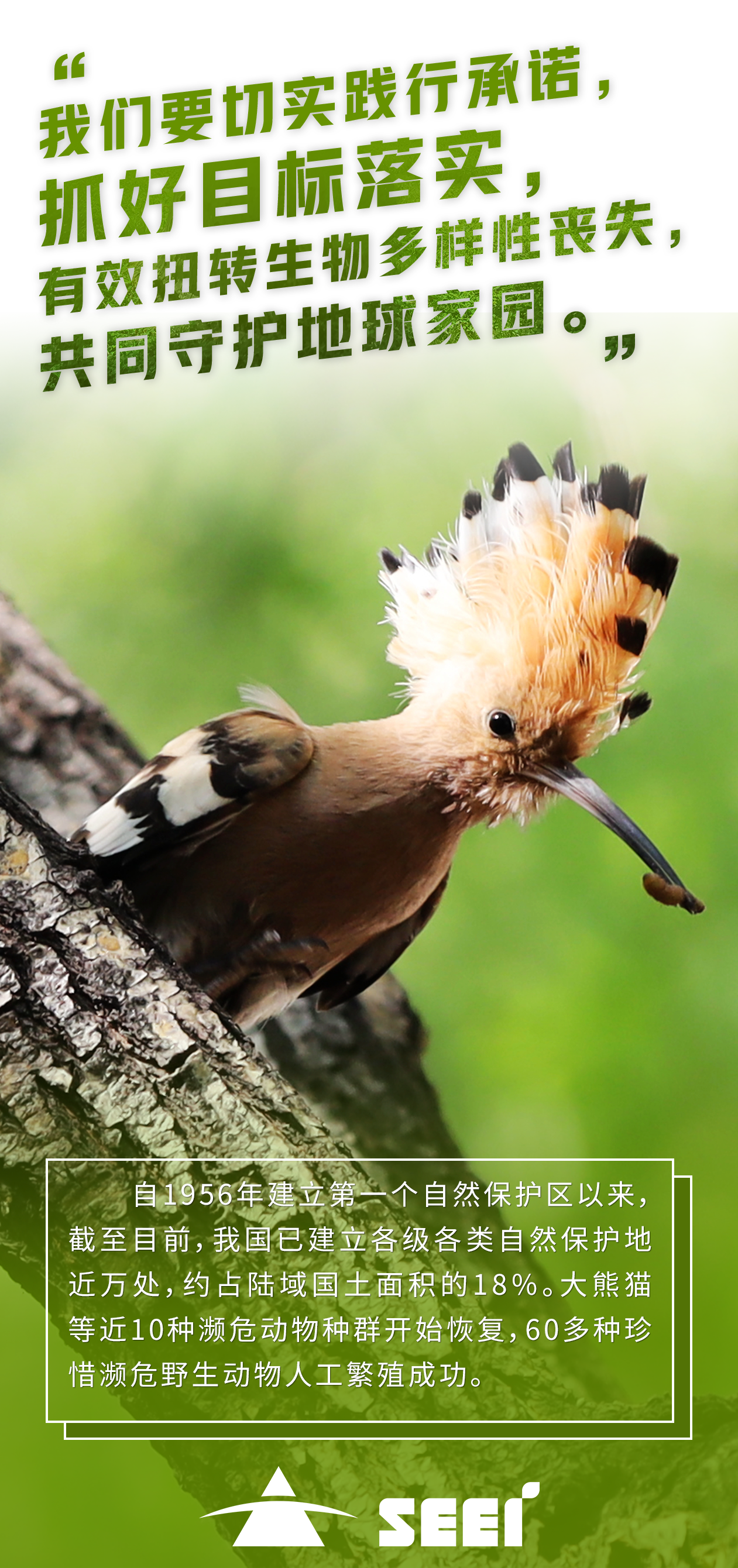 8北京清新-王玉山-哺育